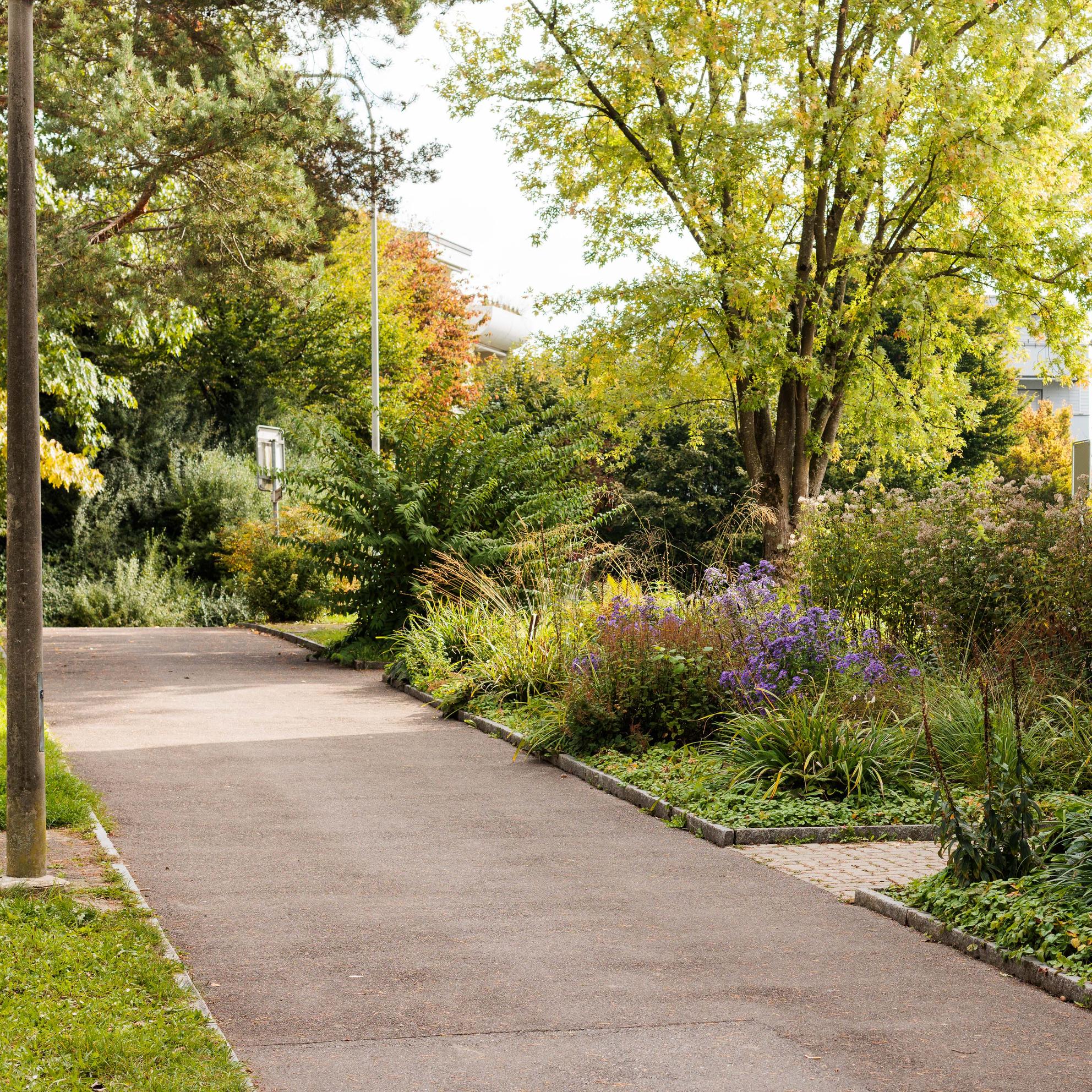 Bild von Umgebungsgestaltung einer Wohnsiedlung aus den 70er-Jahren