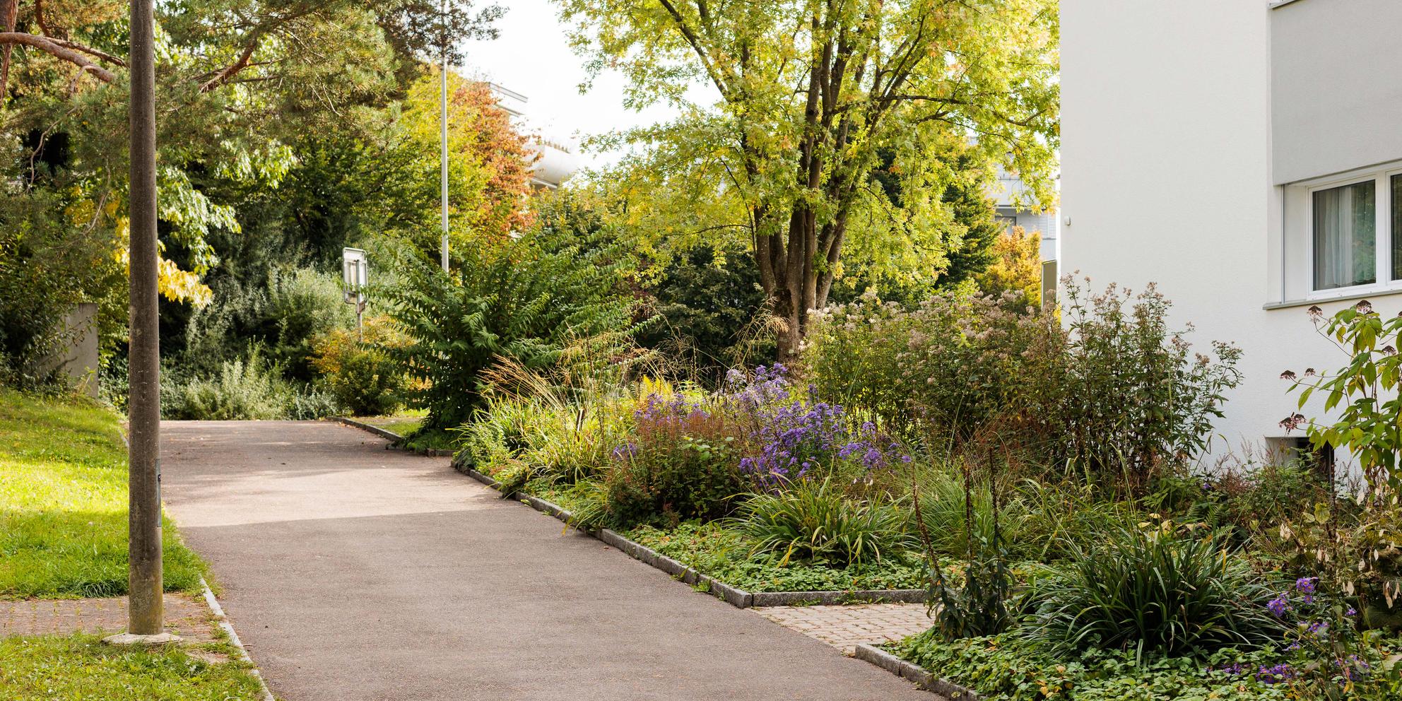 Bild von Umgebungsgestaltung einer Wohnsiedlung aus den 70er-Jahren
